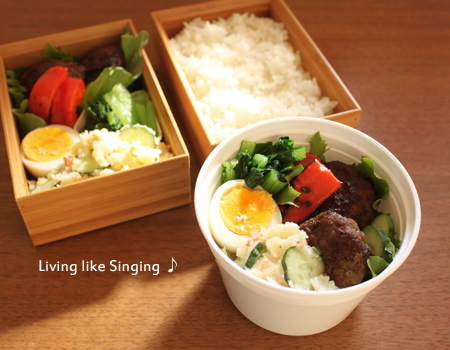 新品♡ DEAN　&　DELUCA　パーフェクトフードコンテナーセット DEAN & DELUCA フードコンテナを買い足す | Living like Singing